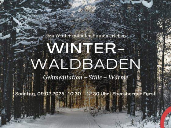 Winter-Waldbaden bei München im Ebersberger Forst. Gehmeditation, Stille und Wärme