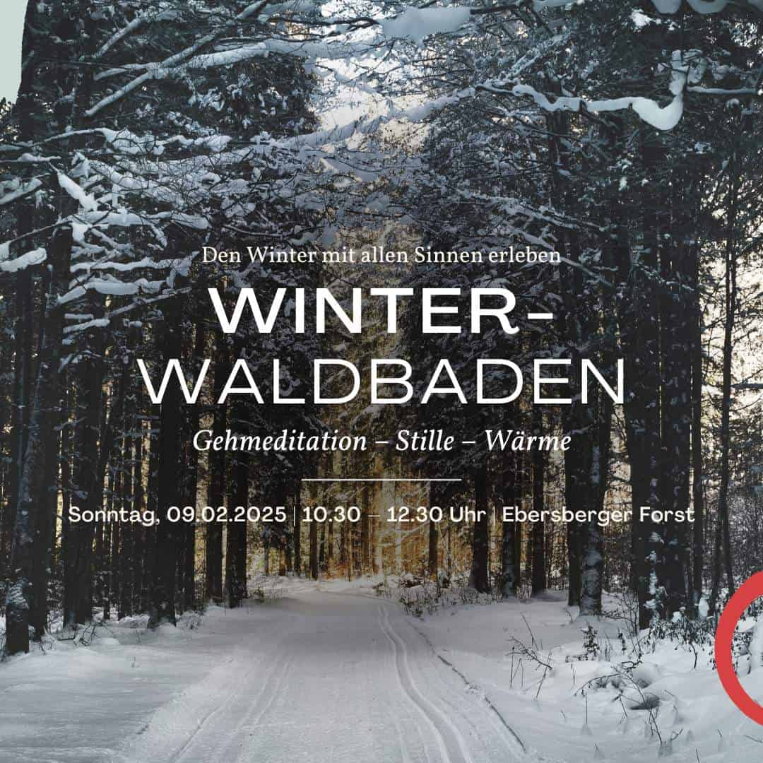 Winter-Waldbaden bei München im Ebersberger Forst. Gehmeditation, Stille und Wärme